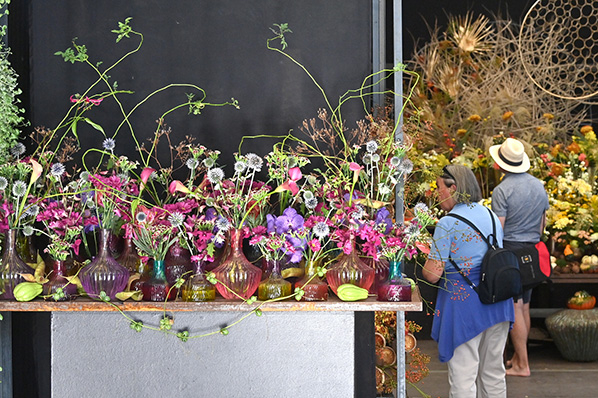 Blumenarrangement in vielen bunten Vasen mit vielfältigen Blumen