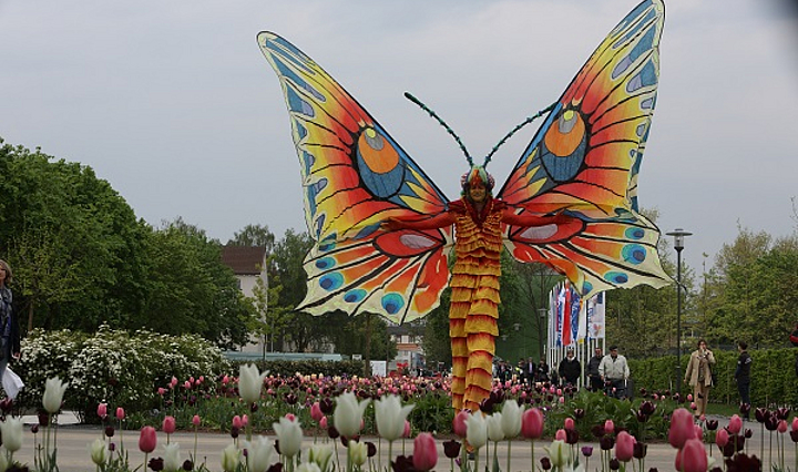 Walk-Act in Schmetterling-Kostüm umrahmt von bunten Tulpenbeeten