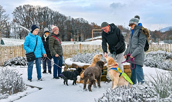 Probelauf Hundespaziergang auf der LGS Fulda