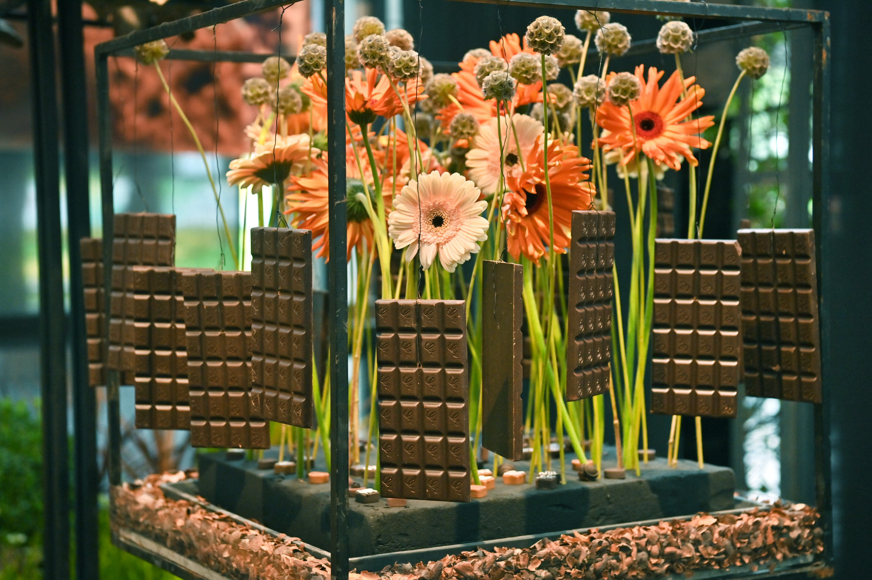 Blumenarrangement mit Schokoladentafeln, Kakaobohnen und orangenen Gerbera