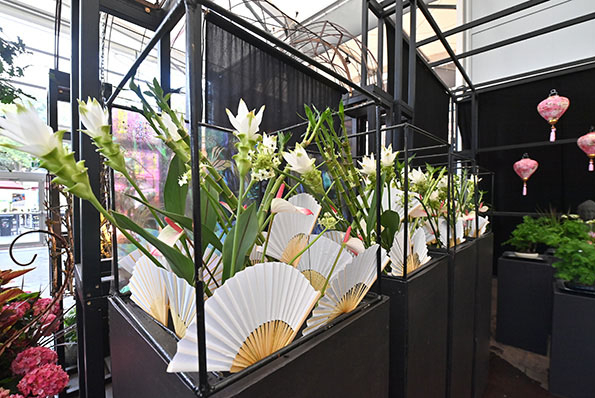 Blumenarrangement mit weißen Kurkumablumen, Fächern und asiatischen Lampignons