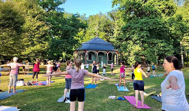Sportgruppe die auf Matten im Park Yoga praktiziert