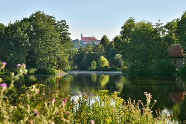 Blick durch Blumen hindurch auf den Aueweiher. Kloster Frauenberg im Hintergrund